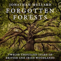 Forgotten Forests