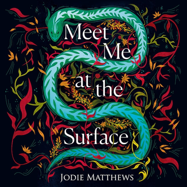 Buchcover für Meet Me at the Surface