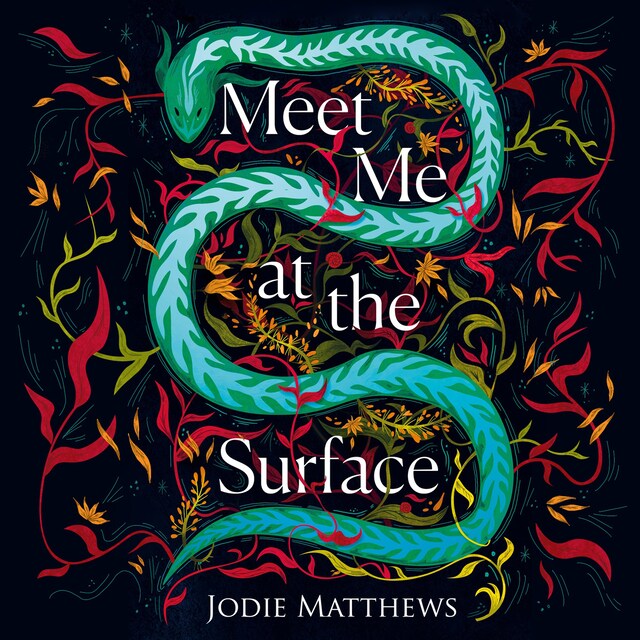 Couverture de livre pour Meet Me at the Surface