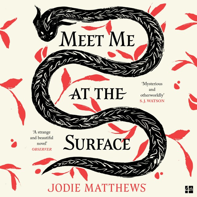 Book cover for Meet Me at the Surface