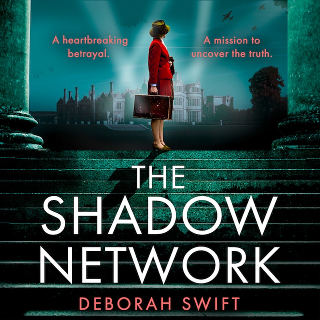 Book cover for The Shadow Network