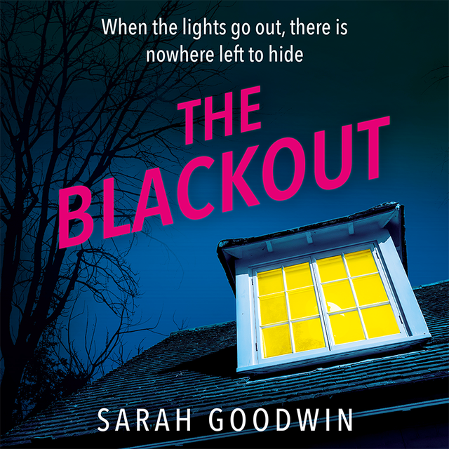 Couverture de livre pour The Blackout