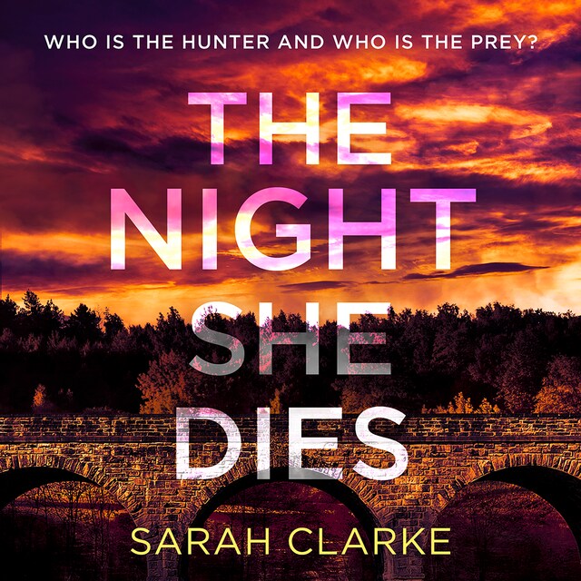 Book cover for The Night She Dies