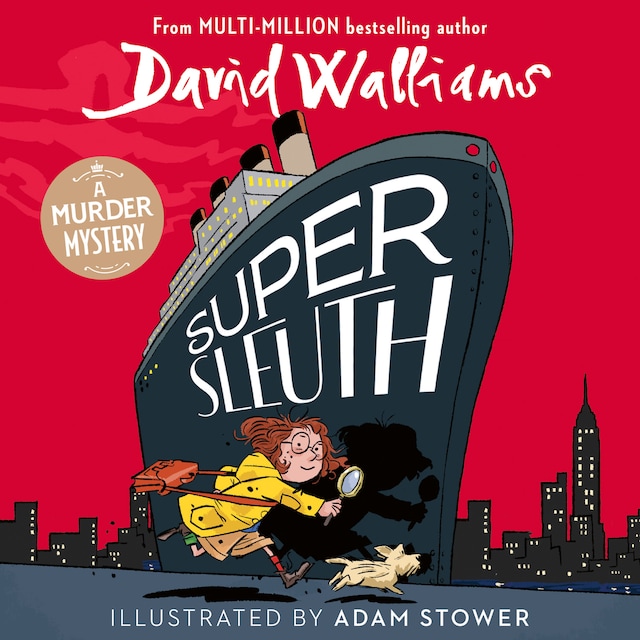 Book cover for Super Sleuth