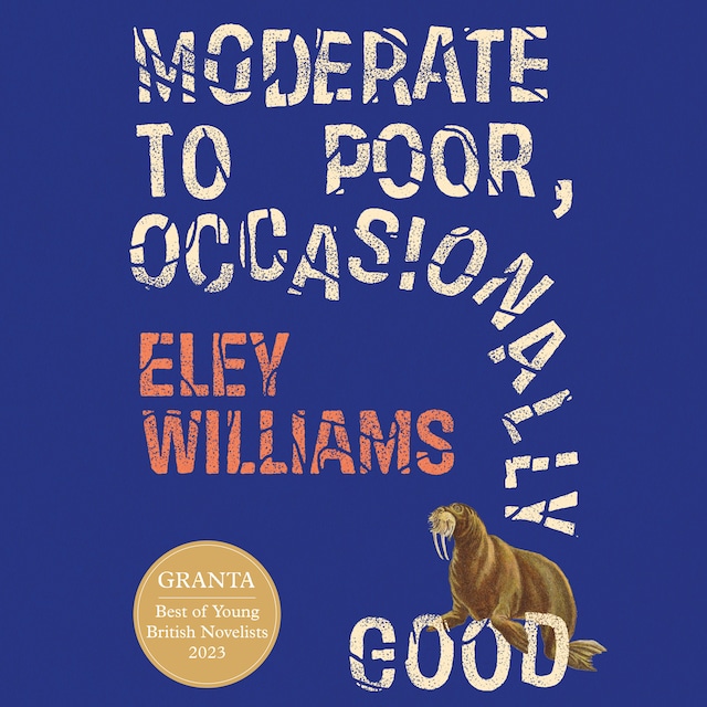 Book cover for Moderate to Poor, Occasionally Good