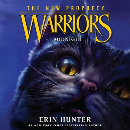 The Place of No Stars (Warriors: The Broken Code, #5) by Erin Hunter