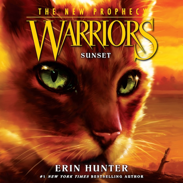 Book cover for SUNSET