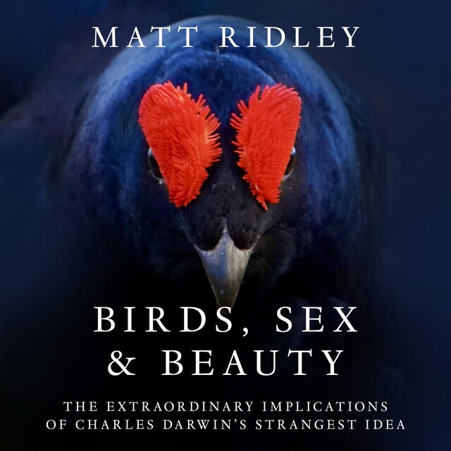 Book cover for Birds, Sex and Beauty