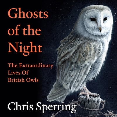 Ghosts of the Night