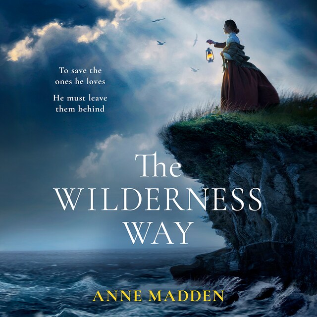 Book cover for The Wilderness Way