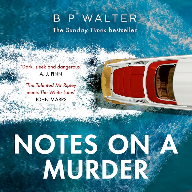 Buchcover für Notes on a Murder