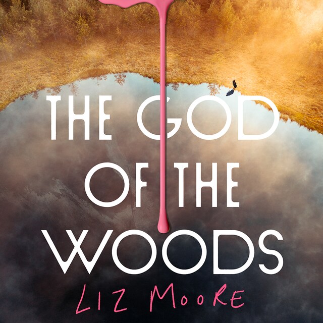 Book cover for The God of the Woods