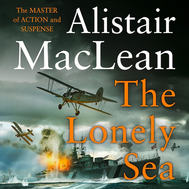 Book cover for The Lonely Sea