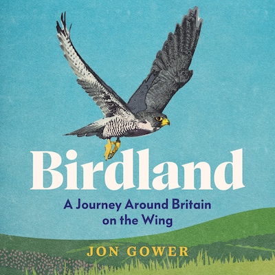 Birdland
