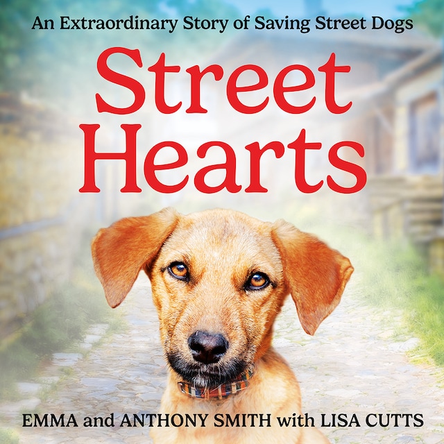Kirjankansi teokselle Street Hearts