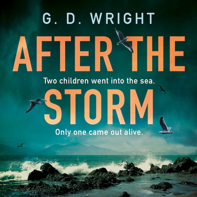 Couverture de livre pour After the Storm