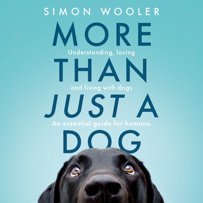 More Than Just a Dog