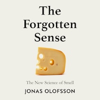 The Forgotten Sense