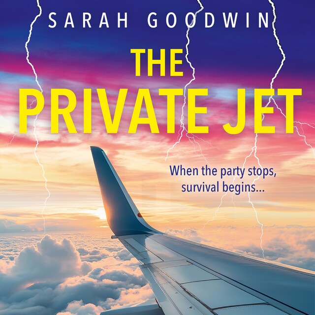 Book cover for The Private Jet