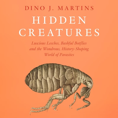Hidden Creatures