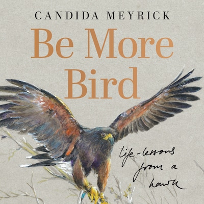 Be More Bird