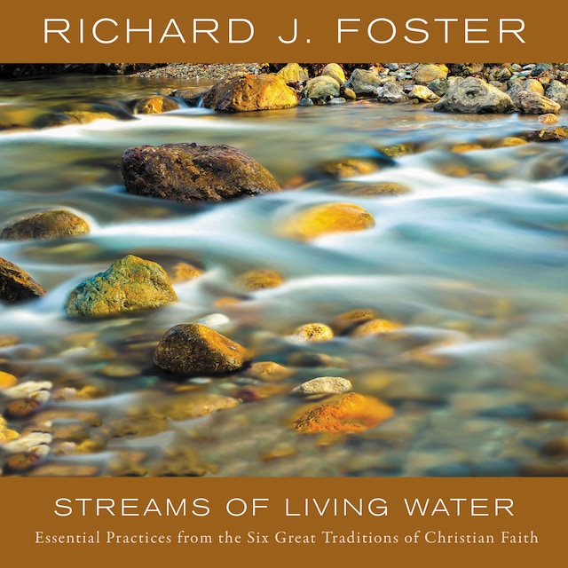 Book cover for STREAMS OF LIVING WATER