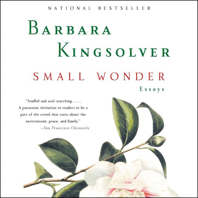 Book cover for Small Wonder