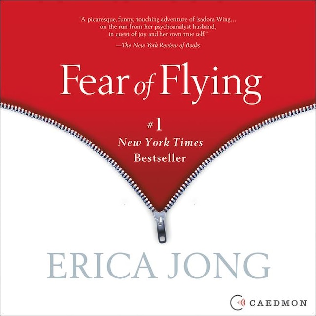 Copertina del libro per Fear of Flying