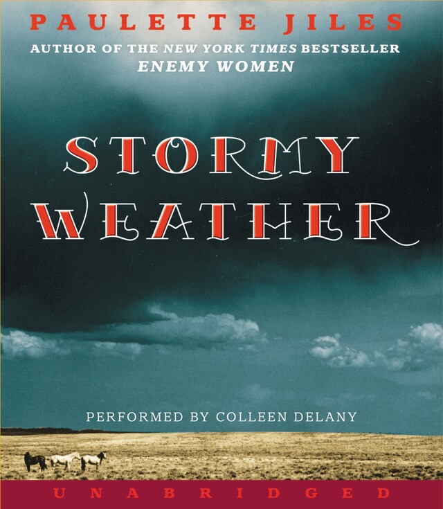 Couverture de livre pour Stormy Weather