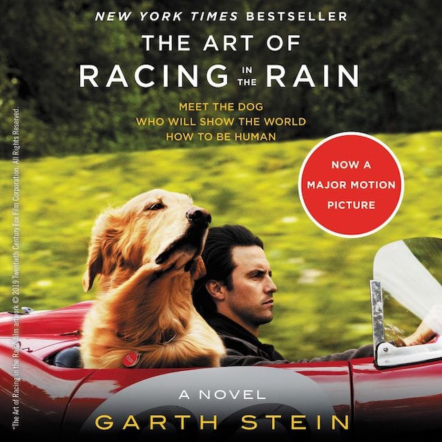 Couverture de livre pour The Art of Racing in the Rain