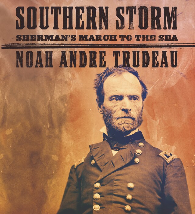 Book cover for Southern Storm