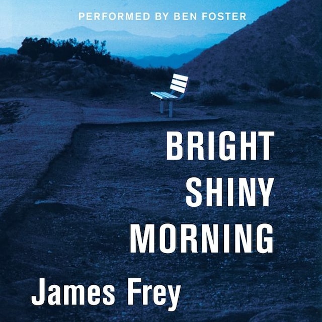 Book cover for Bright Shiny Morning