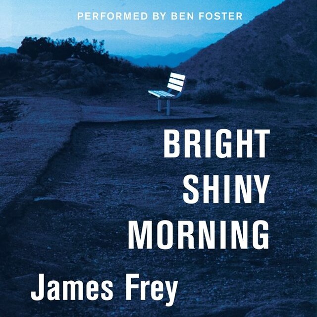 Portada de libro para Bright Shiny Morning