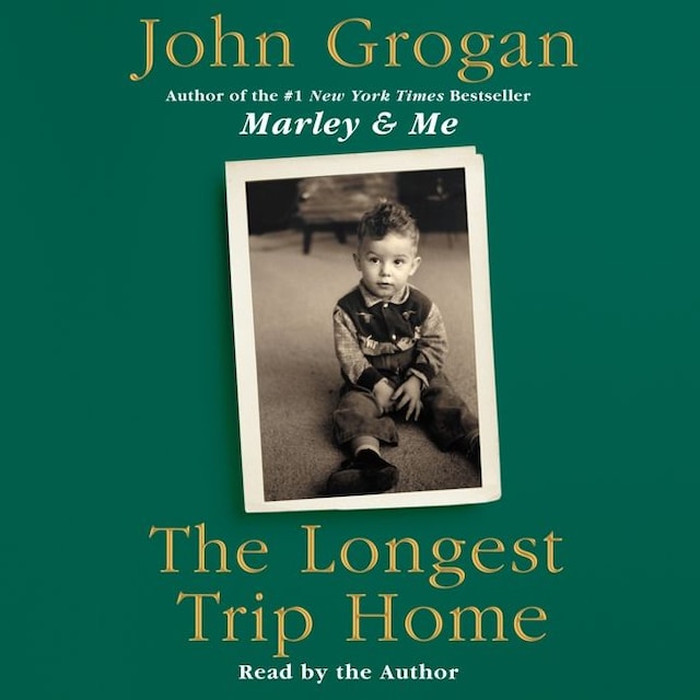 Book cover for The Longest Trip Home