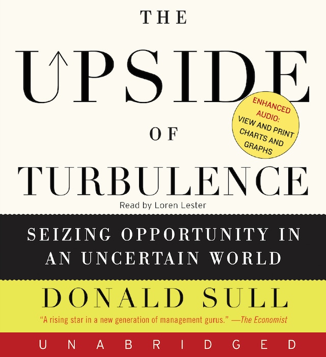 Buchcover für The Upside of Turbulence