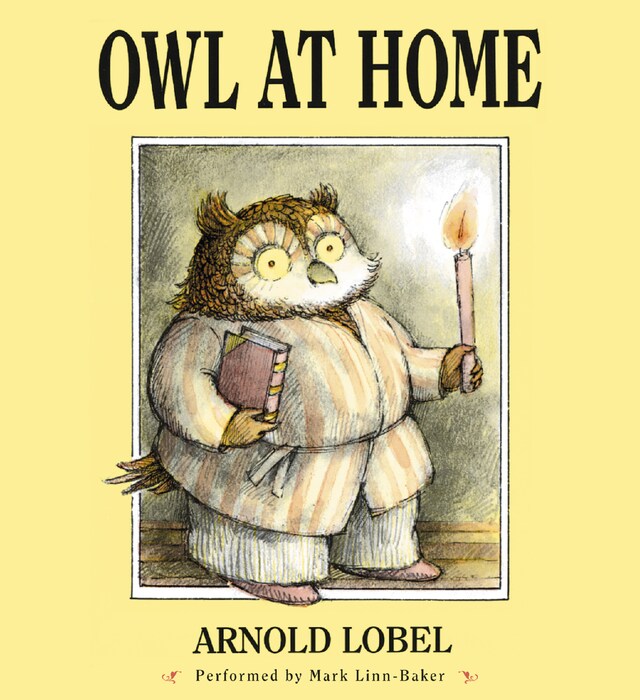 Couverture de livre pour Owl at Home