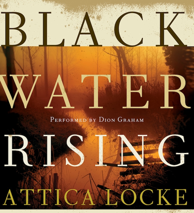 Boekomslag van Black Water Rising