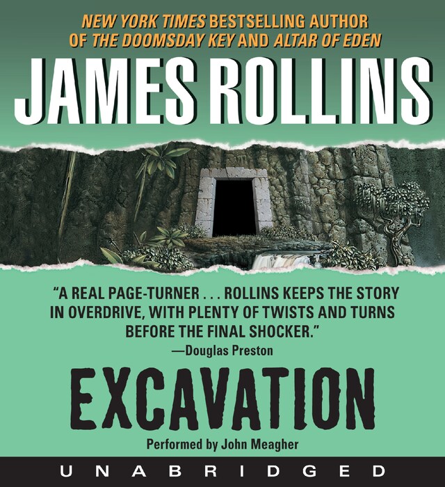 Book cover for Excavation