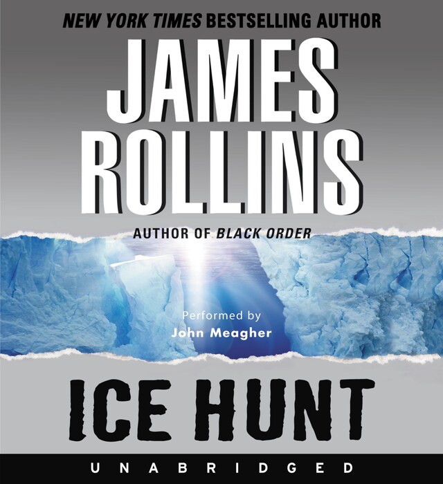 Book cover for Ice Hunt