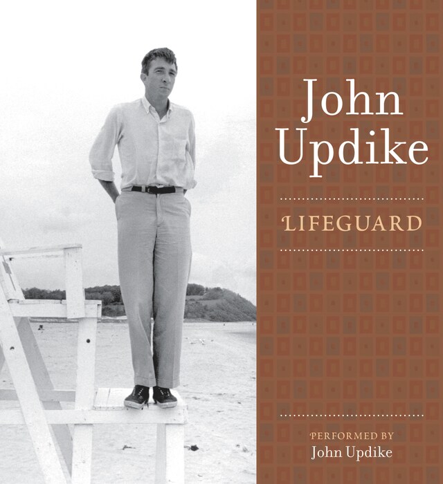 Book cover for Lifeguard