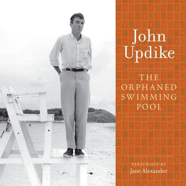 Book cover for The Orphaned Swimming Pool
