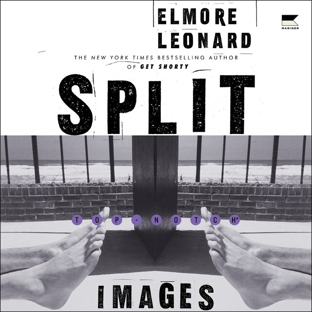 Book cover for Split Images