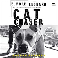Cat Chaser