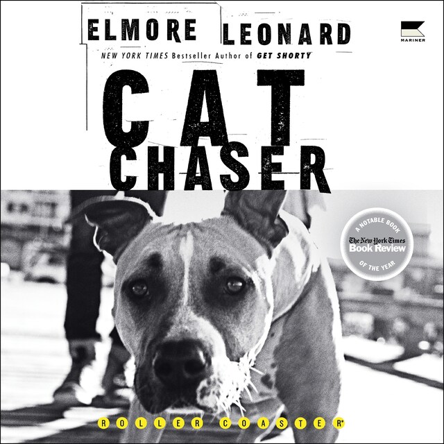 Book cover for Cat Chaser