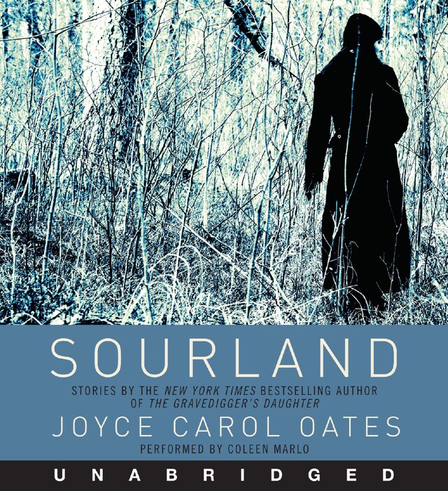 Book cover for Sourland