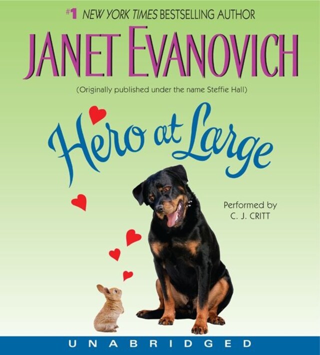 Book cover for Hero at Large