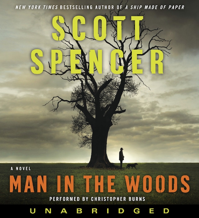 Book cover for Man in the Woods
