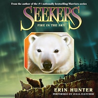 Seekers #5: Fire in the Sky