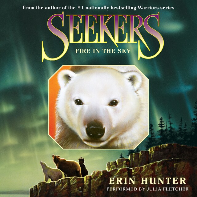 Book cover for Seekers #5: Fire in the Sky