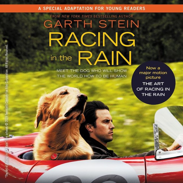Boekomslag van Racing in the Rain